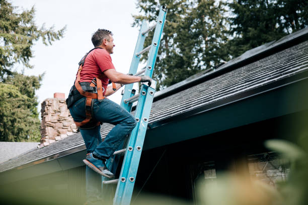 Best Roof Leak Repair  in Hazen, ND