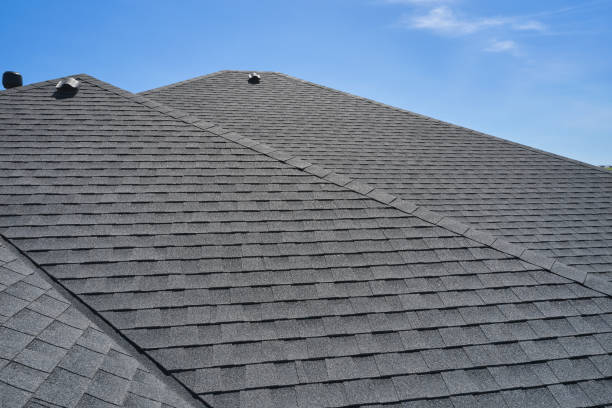 Best Roof Coating and Sealing  in Hazen, ND